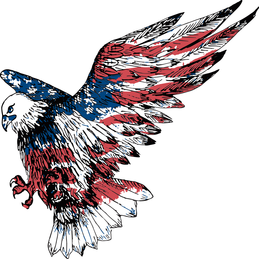 American bald eagle, american flag